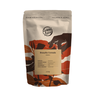 Instytut Kawy - BRAZYLIA CERRADO Espresso 250g